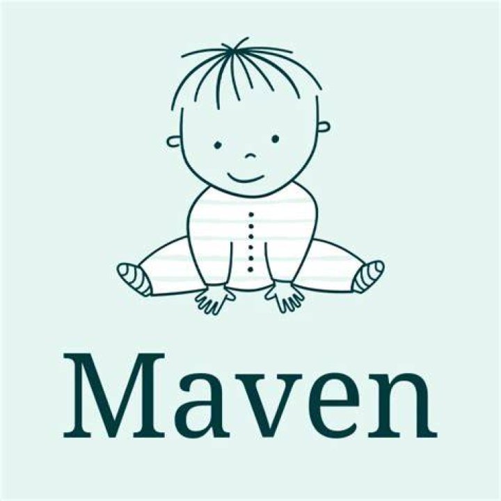 What does the name maven mean?
