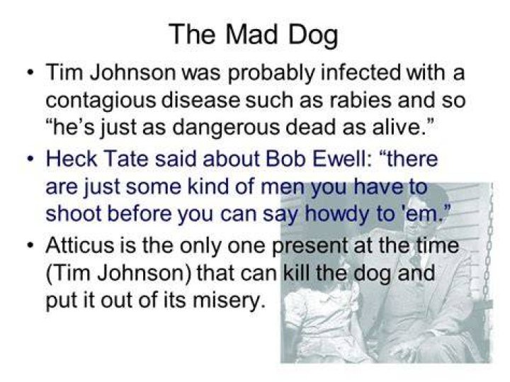 What does Tim Johnson The Mad Dog symbolize?