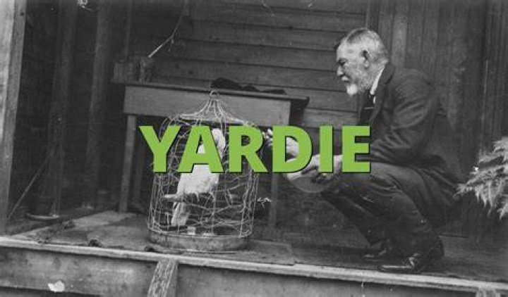 What is a Yardie in slang?