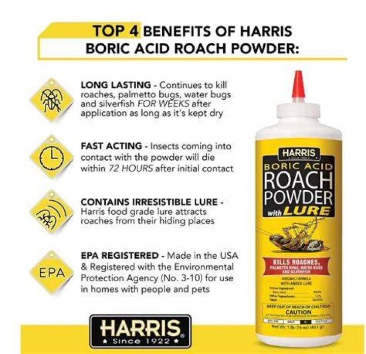What is boric acid with lure?