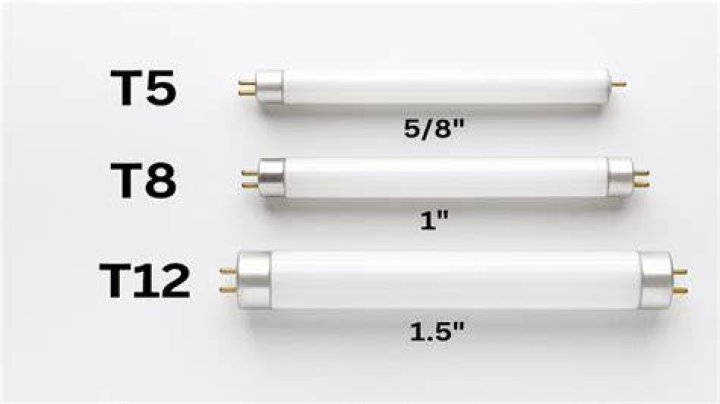 What is the difference between t8 and t12 fluorescent lights?