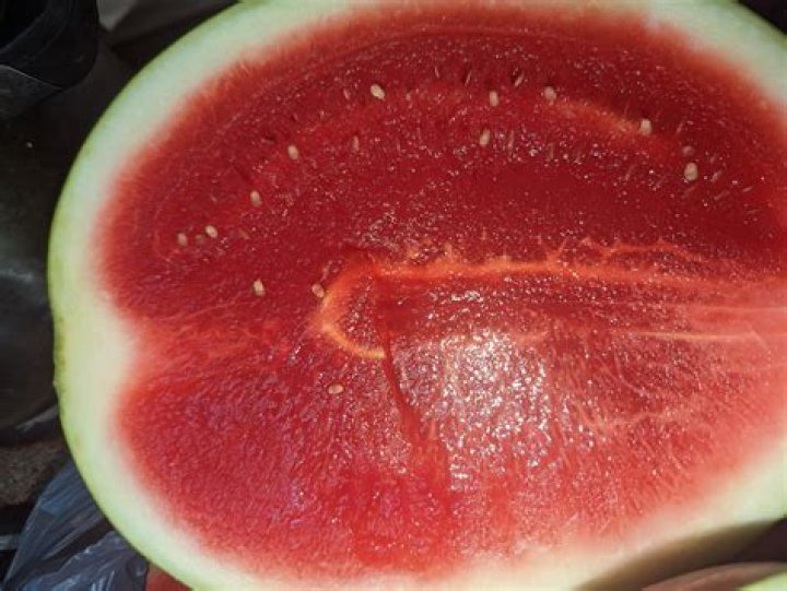 Why is my watermelon rubbery?