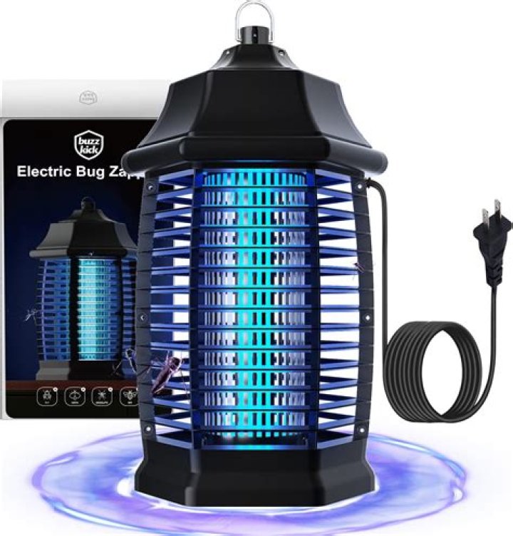 Will a bug zapper kill house flies?