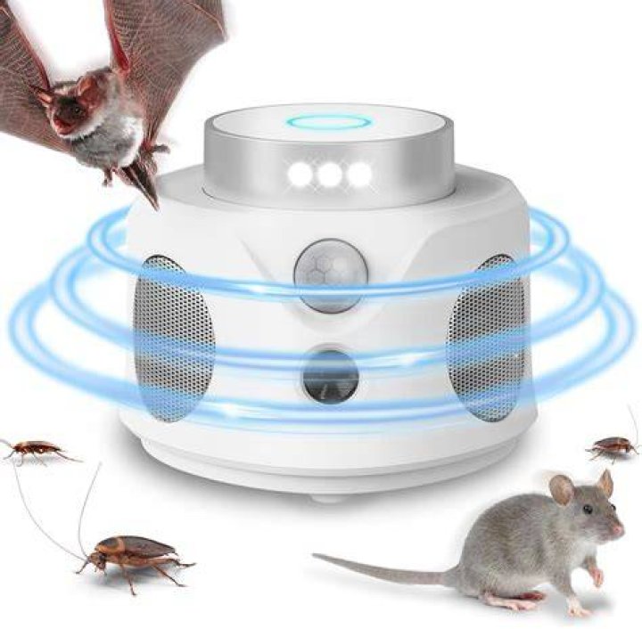 Will lights deter mice?