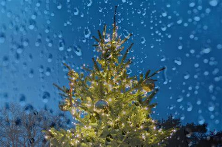 Will rain ruin Christmas lights?
